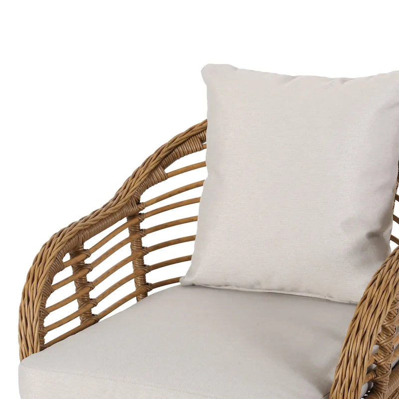 Fauteuils de club en osier intérieur/extérieur avec coussins